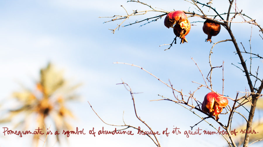 On the Road, Pomegranate