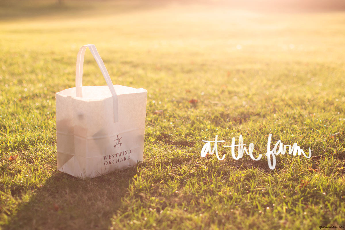 laura-ferrara_garance-dore_1