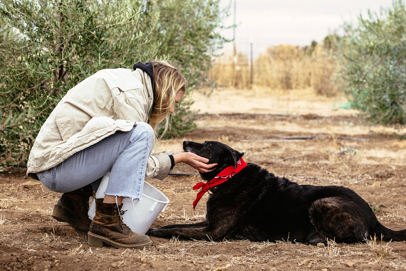 lifestyle_olive_oil_atelier_dore_1