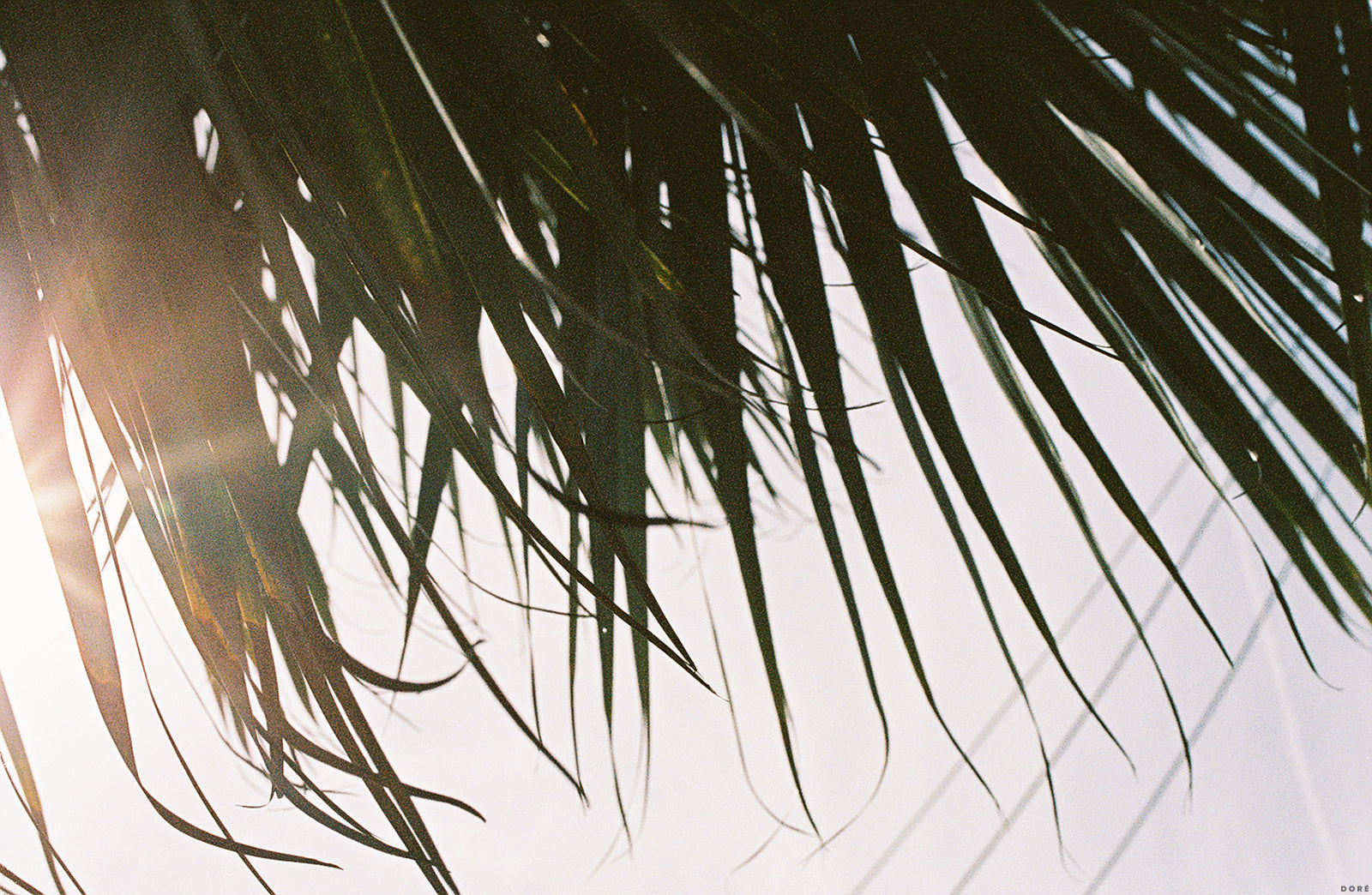 DORE_LIFESTYLE_NOSTALGIA_FROM_IMMIGRATION_1